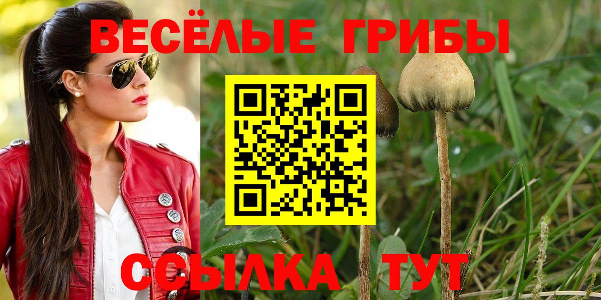 Галлюциногенные грибы мицелий  Псилоцибиновые грибы Magic Shrooms  Вход с VPN  Моздок 